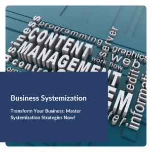 Business Systemization